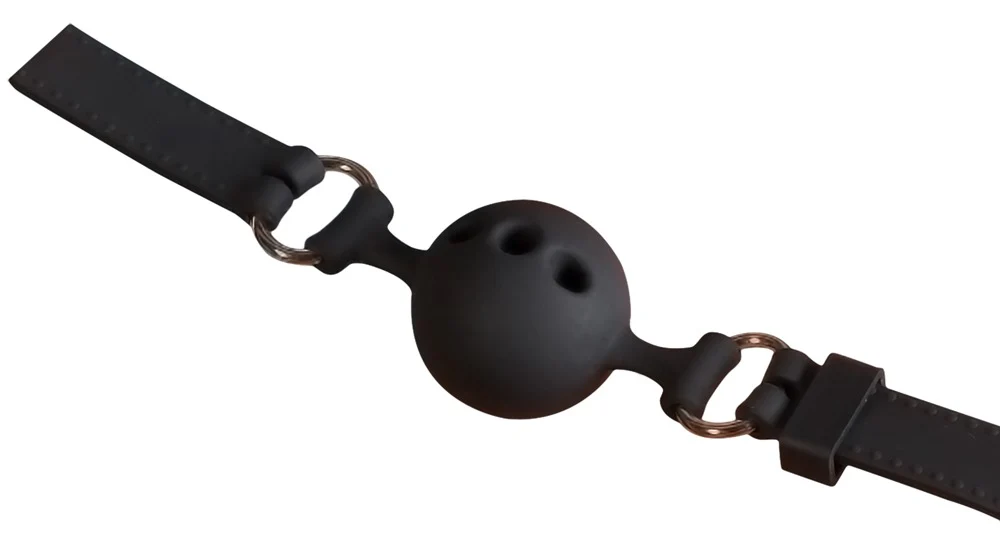 Miniatyrbild 2